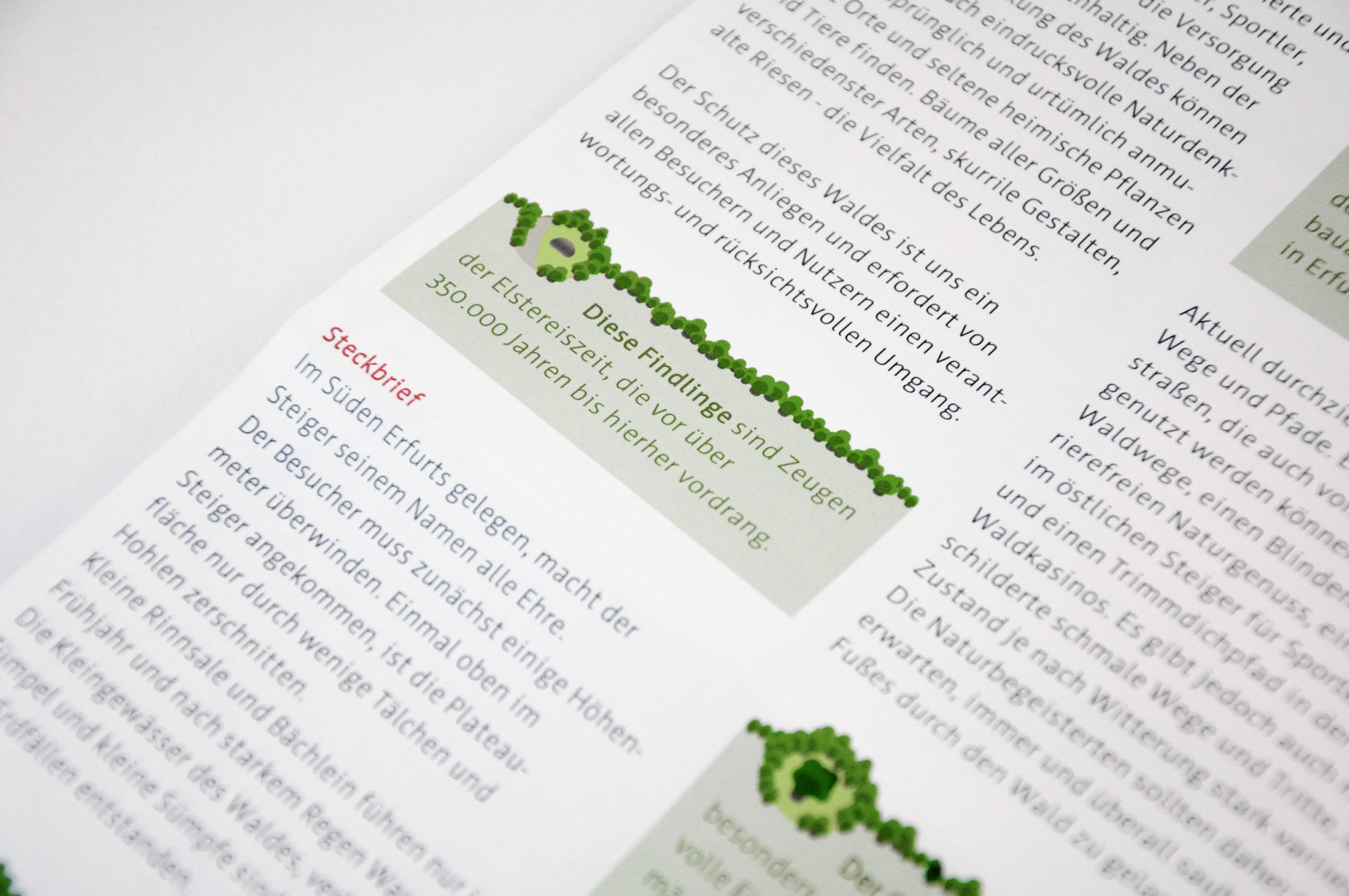 SR-17-KOR-steigerwald-350k-2