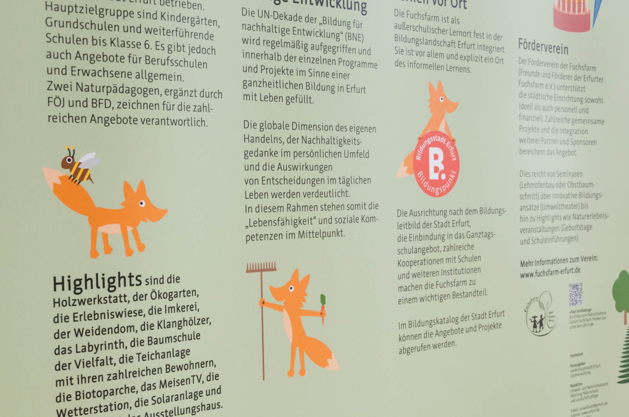 SR-17-Stadtverwaltung-350k-9