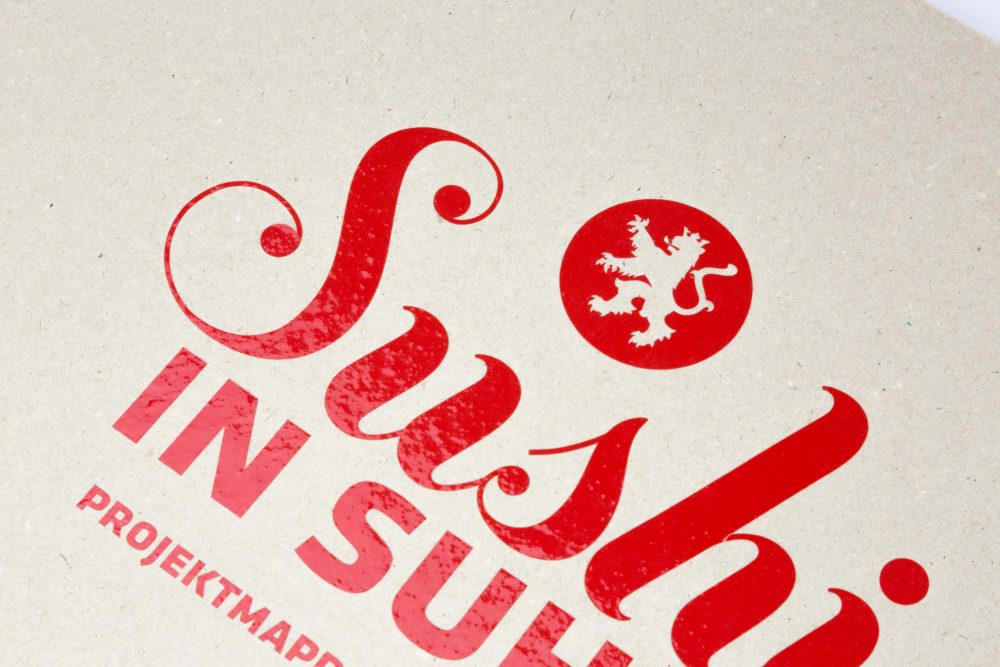 SR-17-filmmaterial-2-72-350k-31