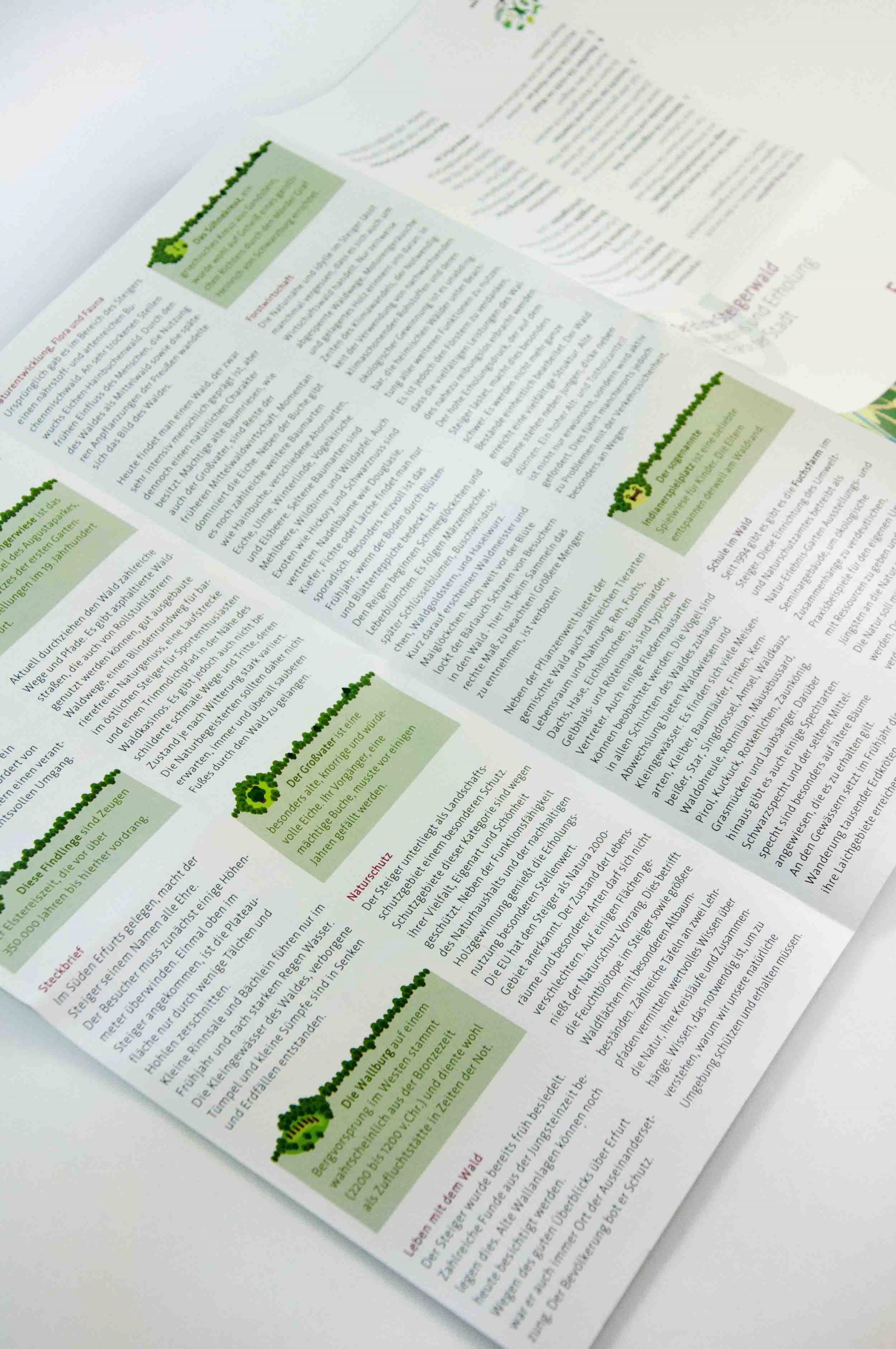 SR-17-steigerwald2-72-350k-1