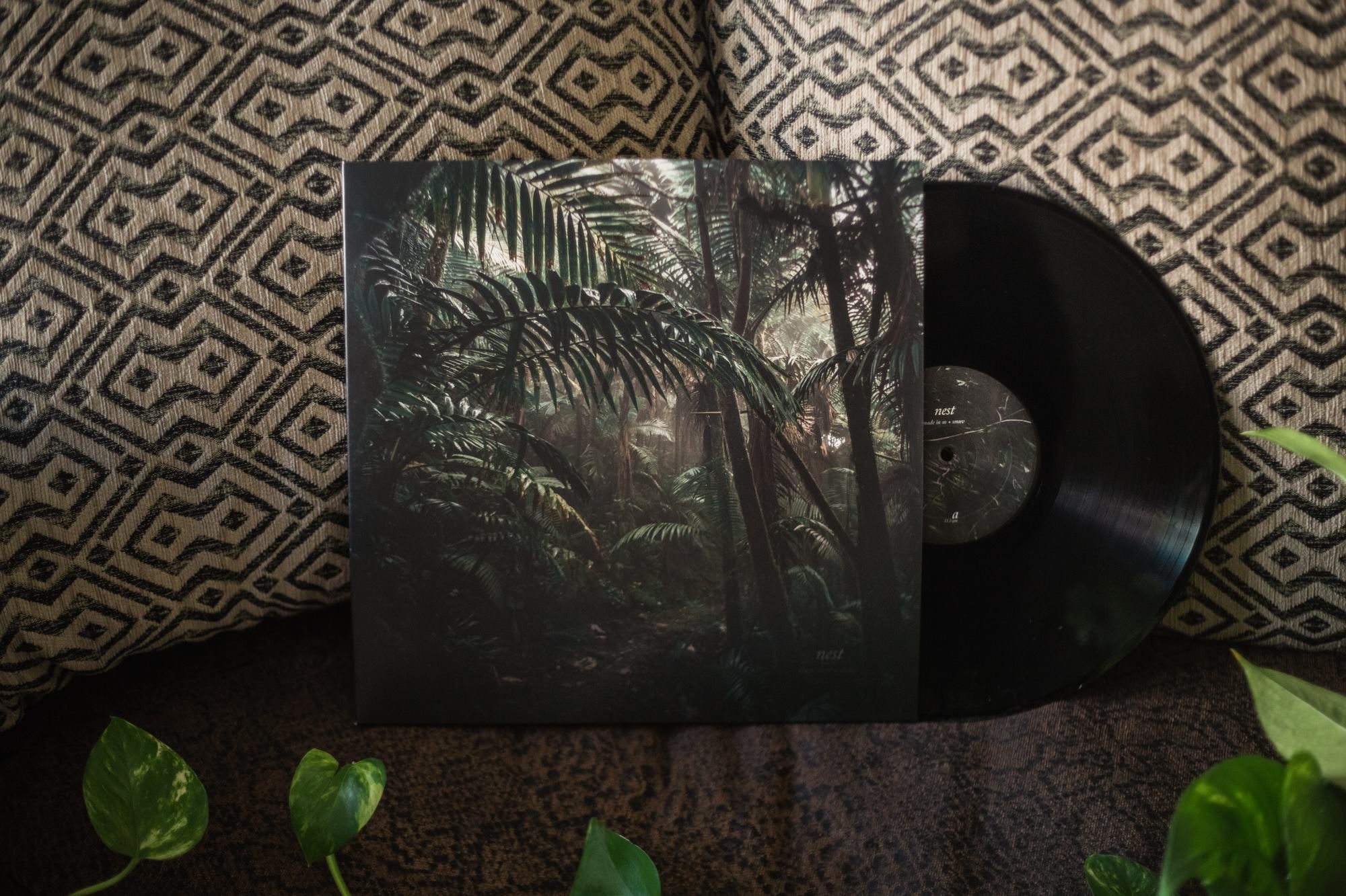 15250715_1840817599486949_3135643674116745735_o