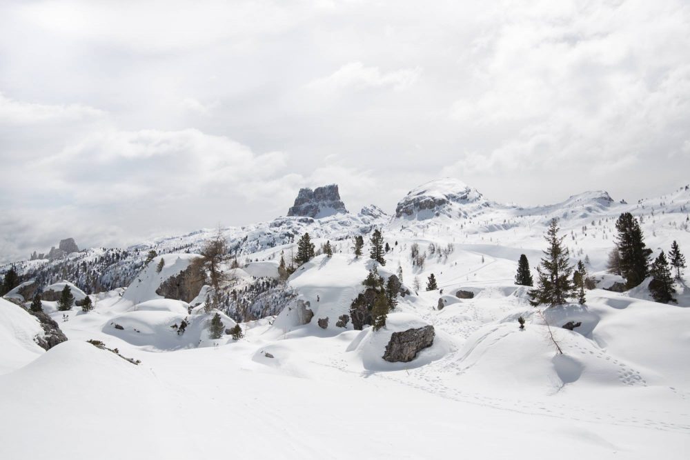 15800102_1857094114525964_598496123804670272_o