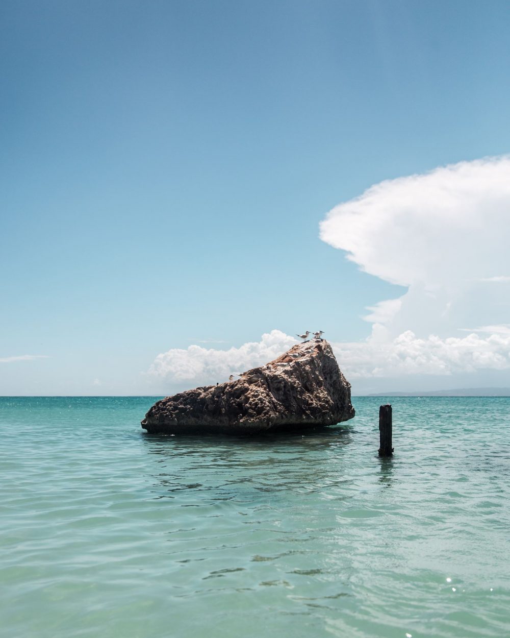 15875481_1857094314525944_8434053863226334898_o