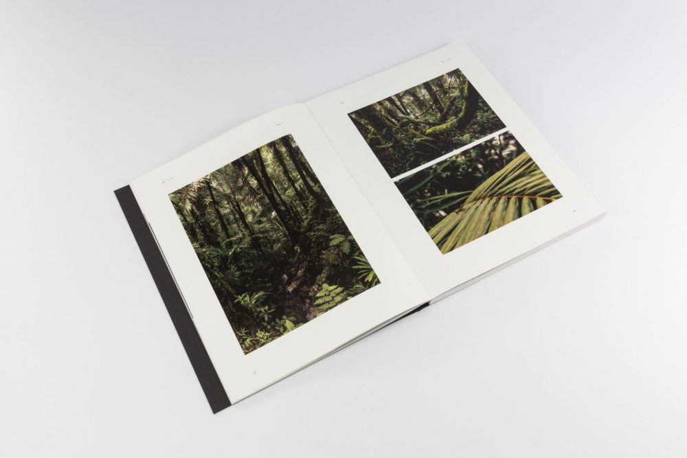 PR-LLVL-2017-13-1920×1280